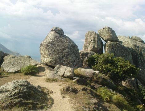 Aamakkal